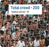Crowd Analysis